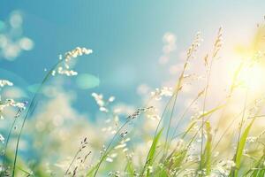 Spring or summer abstract nature background with grass in the meadow and blue sky in the back photo