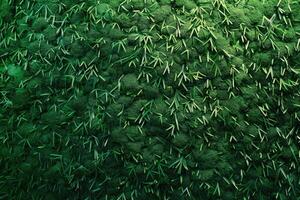 Green grass wall texture for backdrop design and eco wall and die cut for artwork. photo