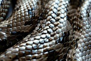 AI generated Snake skin   reptile  Snake skin   reptile photo