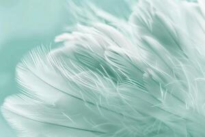 AI generated Feather closeup on trendy color background for Spring Summer 2017. photo