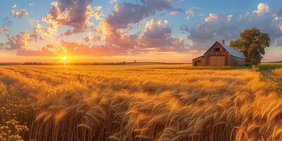 AI generated Agricultural grain farm overlooking a wheat field photo