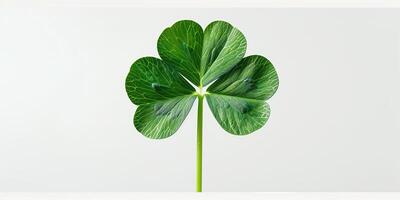 ai generado trébol planta es un irlandesa símbolo de bueno suerte para S t. patrick's día foto