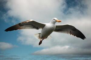 a gull flying over the ocean with red trees photo