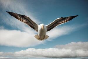 un gaviota volador terminado el Oceano con rojo arboles foto