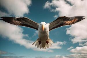 a gull flying over the ocean with red trees photo