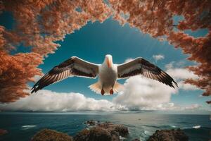 a gull flying over the ocean with red trees photo