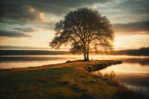 un hermosa lago rodeado por arboles y rocas foto