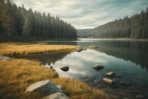 autumn landscape with trees and water photo