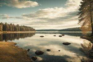 un río carreras mediante un campo y bosque foto