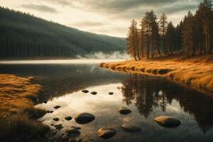 a river runs through a field and forest photo