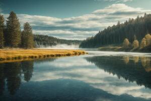 a lone tree stands on a small island in a lake photo