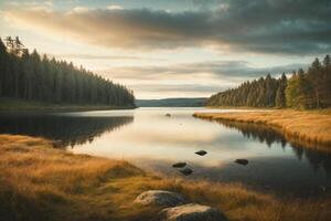 a lone tree stands on a small island in a lake photo