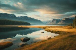 a lone tree stands on a small island in a lake photo