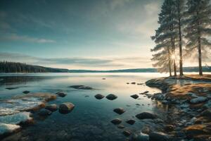 a river in the forest with fog and trees photo