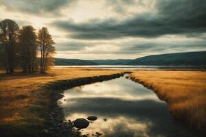 a river in the forest with fog and trees photo