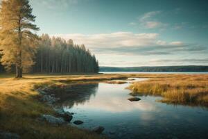 a river in the forest with trees and fog photo