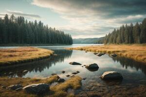 a river in the forest with trees and fog photo