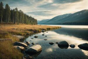 a river in the forest with trees and fog photo