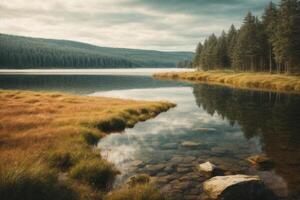 a lake surrounded by trees and grass photo