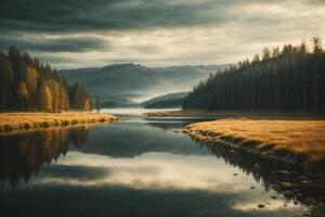 lake surrounded by trees and grass in autumn photo