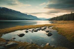 lake surrounded by trees and grass in autumn photo