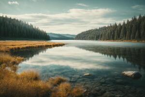 Autumn landscape with trees and lake photo