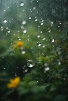 background of rain on blurred bokeh photo