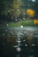 background of rain on blurred bokeh photo