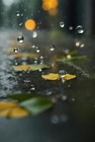 background of rain on blurred bokeh photo