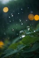 background of rain on blurred bokeh photo