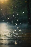 raindrops on the ground in a puddle photo