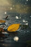 raindrops on the road at night photo