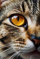 cerca arriba de un de gato ojo con naranja ojos foto