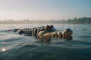 a large alligator floating in the water photo