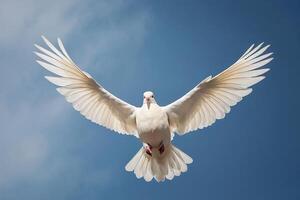 un blanco paloma volador en el cielo foto