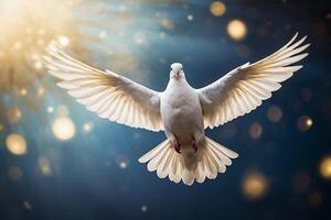 a white dove flying in the sky photo