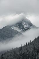 a black and white photo of snow covered mountains