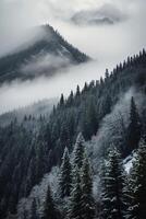 a mountain covered in snow and trees photo