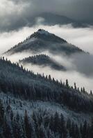 a mountain covered in snow and trees photo