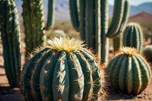 un cactus planta es mostrado en frente de un gris pared foto