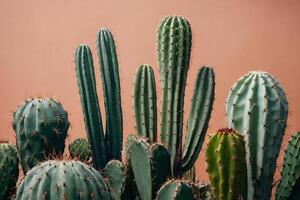 un cactus planta es mostrado en un Desierto ambiente foto