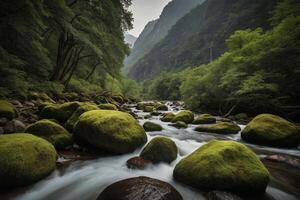 a river flows through a forest with mountains in the background photo