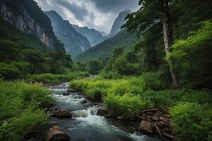 a river flows through a forest with mountains in the background photo
