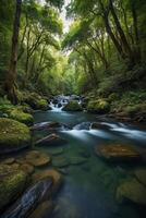 a river flows through a forest with mountains in the background photo