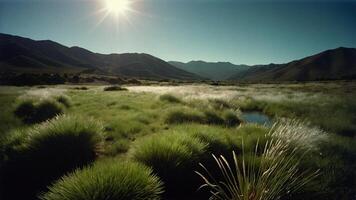 a grassy field with mountains in the background photo