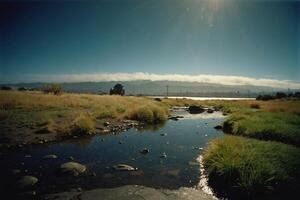 a puddle of water on the ground with grass and rocks photo