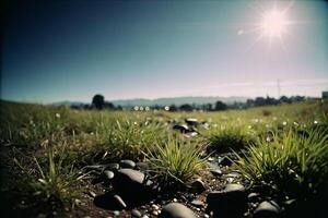 a puddle of water on the ground with grass and rocks photo