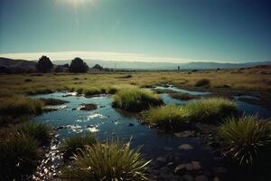 a grassy area with rocks and grass photo