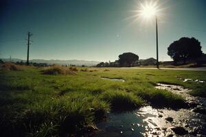 a grassy area with rocks and grass photo