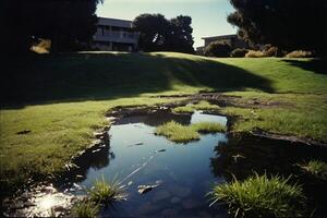 a grassy area with rocks and grass photo